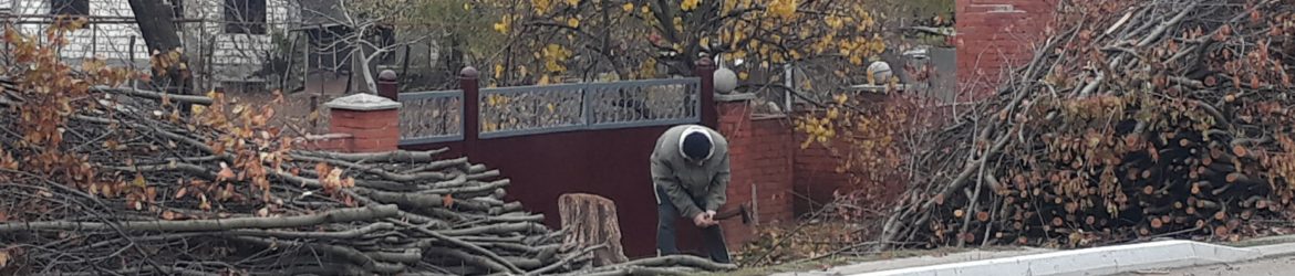 Рубит дрова