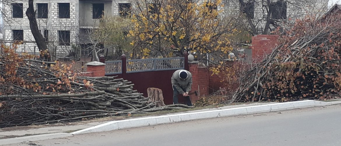 Рубит дрова