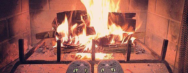 Польза от дров